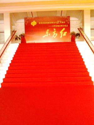 高质量多规格涤纶大红展览地毯批发