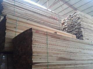 供应烘干无节樟子松板材及桦木烘干木材