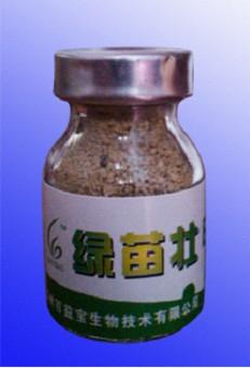 EM菌肥在水稻上的应用批发