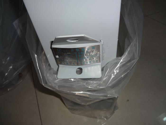 供应厂家直销电热电容器RFM1.0-750-0.5S图片