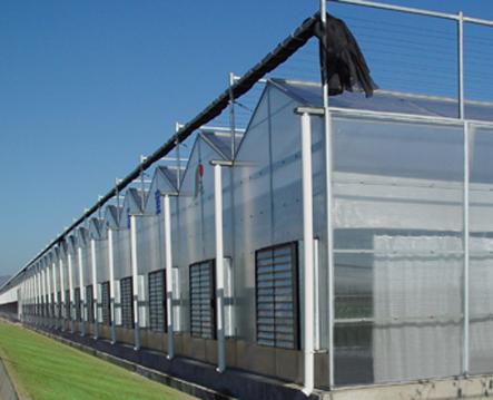 供应无机玻璃钢复合材料温室大棚骨架同图片