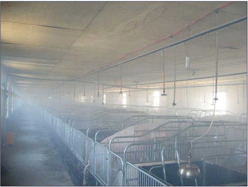 养猪场降温首选产品喷雾降温设备 - 东荣喷雾降
