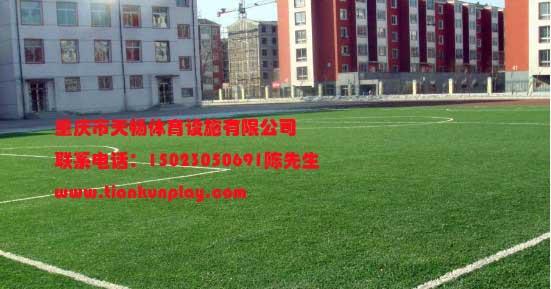 厂家直销重庆塑料人造草皮,重庆云阳硅PU篮球场,景区团队拓展器材图片