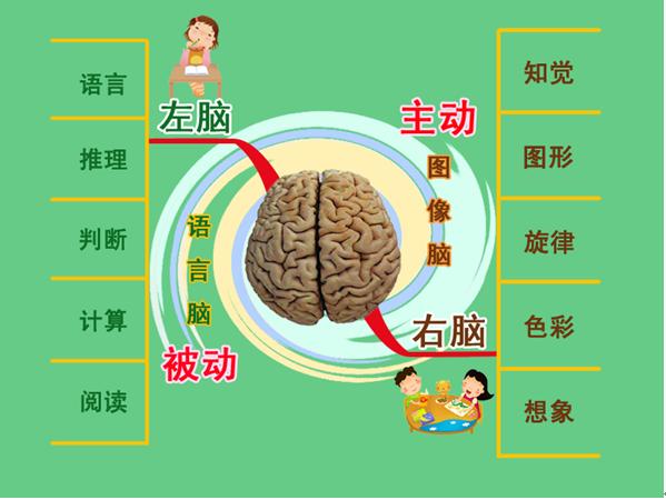 右脑图像记忆法的两个锻炼方法