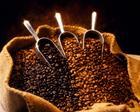 马来西亚咖啡进口清关-咖啡进口流程-咖啡粉免税进口流程-香港进口咖啡