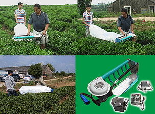 供应环保节能型Ⅰ型单人有袋电动采茶机图片