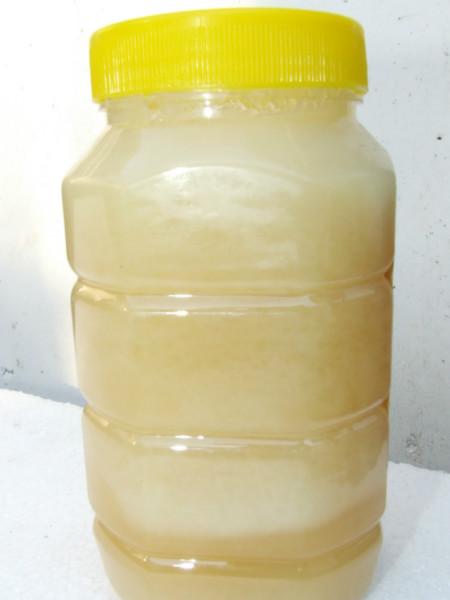 莱州市尹译养蜂场天然结晶蜂蜜供应莱州市尹译养蜂场天然结晶蜂蜜