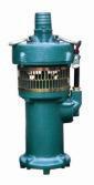 供应QY潜水电泵喷泉泵不锈钢喷泉泵8图片