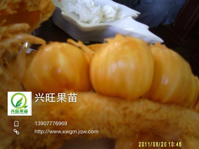 钦州市榴莲菠萝蜜营养成分厂家