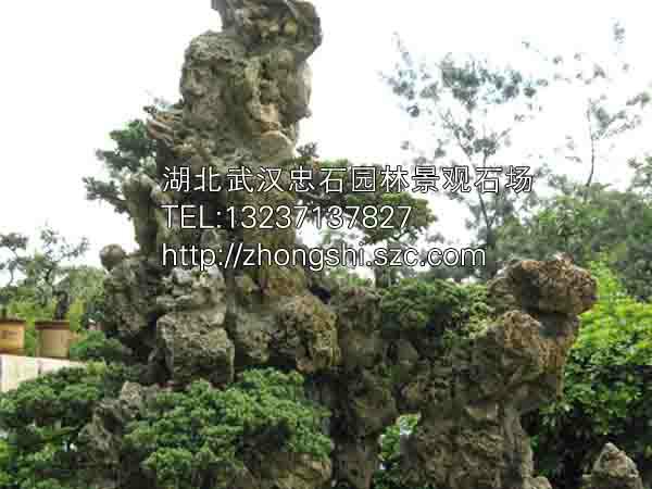 供应用于武汉景观石奇的武汉景观石奇石批发卖_武汉塑树湖图片