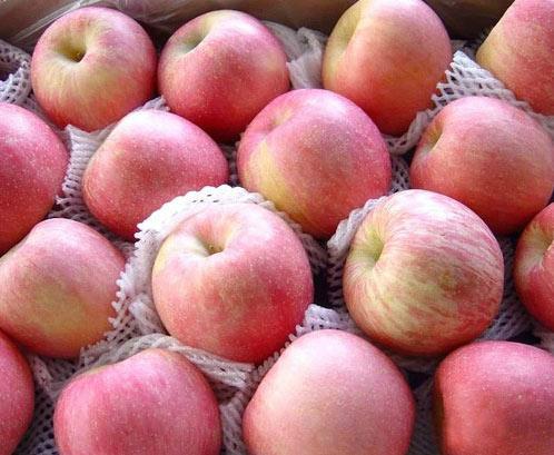 供应山东红富士苹果品种齐全批发价格味道好图片