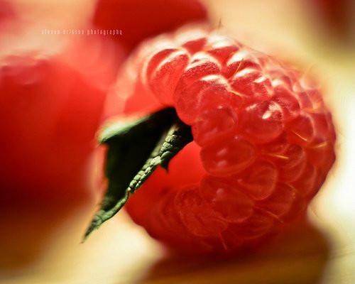 武汉市覆盆莓水果粉厂家