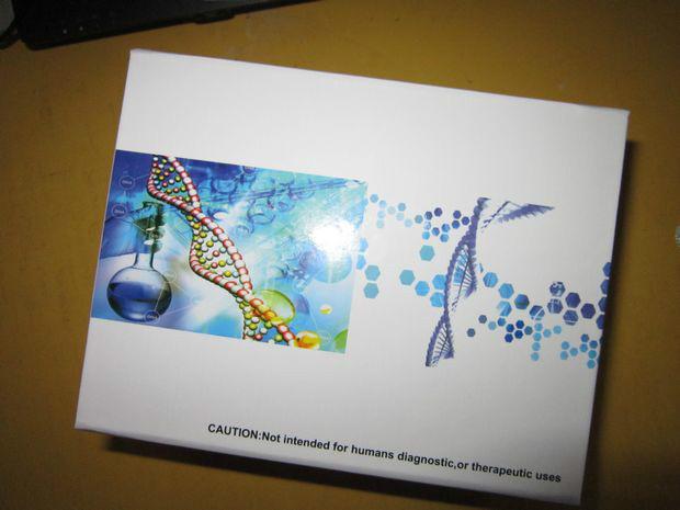 DNA病毒基因组提取试剂盒图片