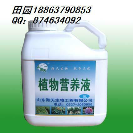 高效5L桶装叶面肥植物营养液批发