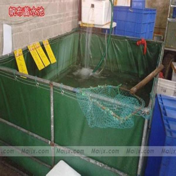 供应室内外养殖鱼池高温热合防渗漏帆布池简单易操作图片