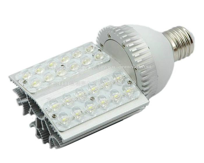 供应LED24W草坪照明灯头丨LED24W玉米灯