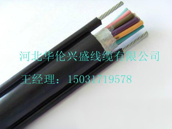 弹性体电缆控制电缆-河北华兴盛线缆厂吊篮专用电缆像套电缆(图)  