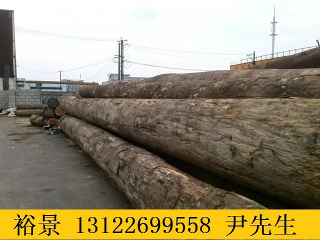 上海山樟木板材加工厂批发