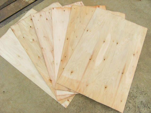 供应山东桉木单板桉木皮子厂价批发，山东桉木单板桉木皮子厂价批发最低价