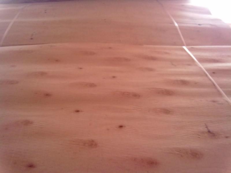 供应广西生态板专用桉木中板桉木单板