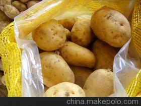 供应脱毒马铃薯种子土豆种子价格-荷兰系列