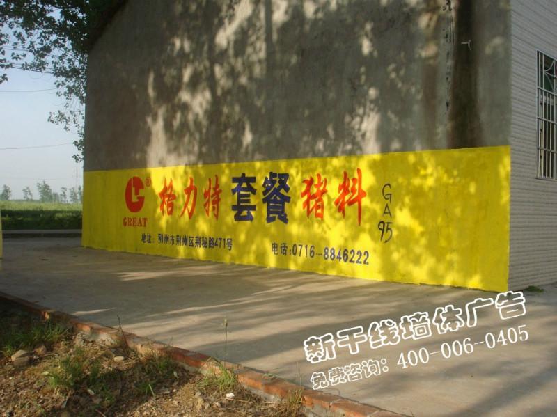 供应湖北咸宁市、通山县墙体广告制作