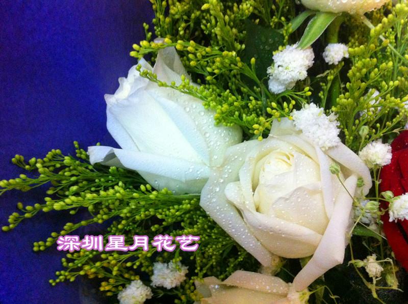 供货商_供应白玫瑰鲜花出售宝安区免费快递_