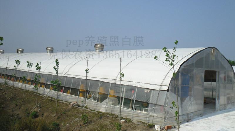 上海市河北鸡鸭养殖专用膜价格厂家