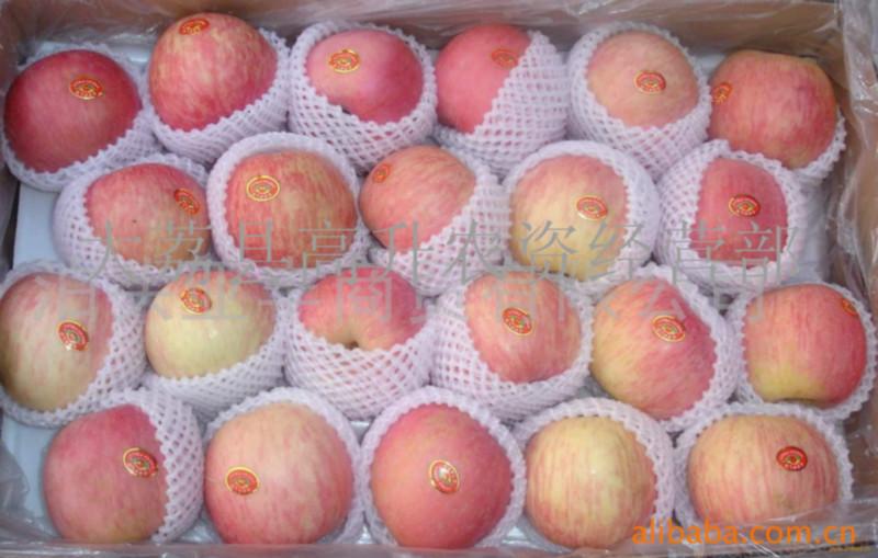 渭南市陕西红富士苹果价格厂家陕西红富士苹果价格