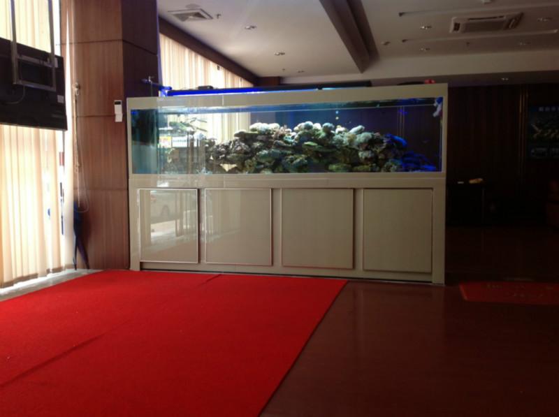 供应广州荔湾专业订做鱼缸厂商  大型订做鱼缸  厂家直销