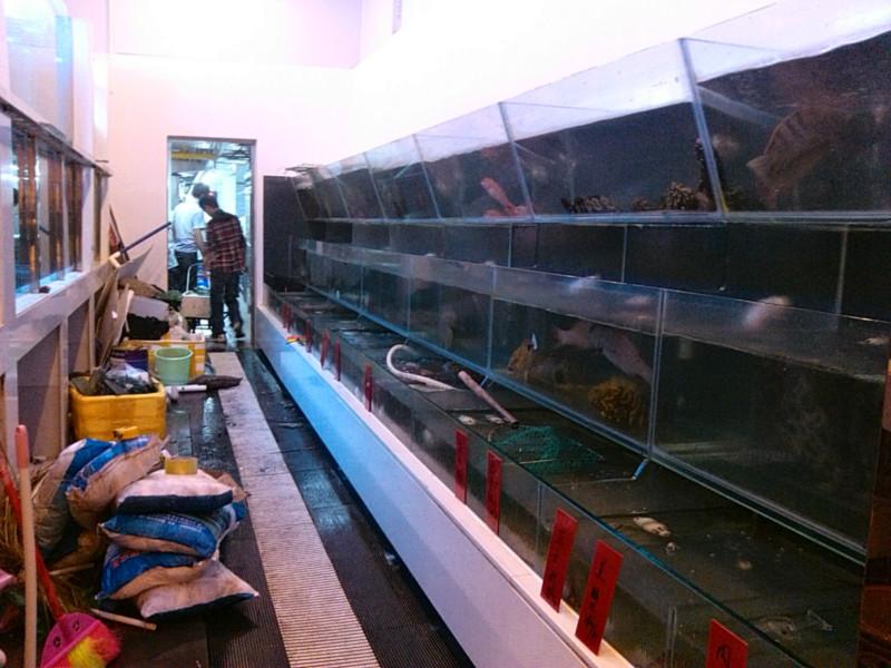 供应广州海鲜池厂家 大型鱼缸厂家报价 广东海鲜池