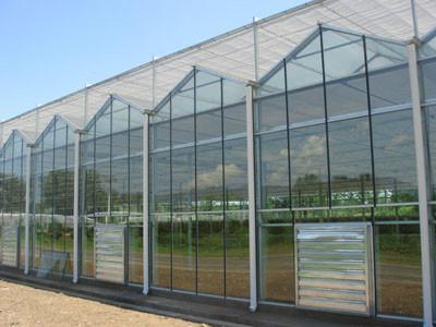 供应玻璃温室建设