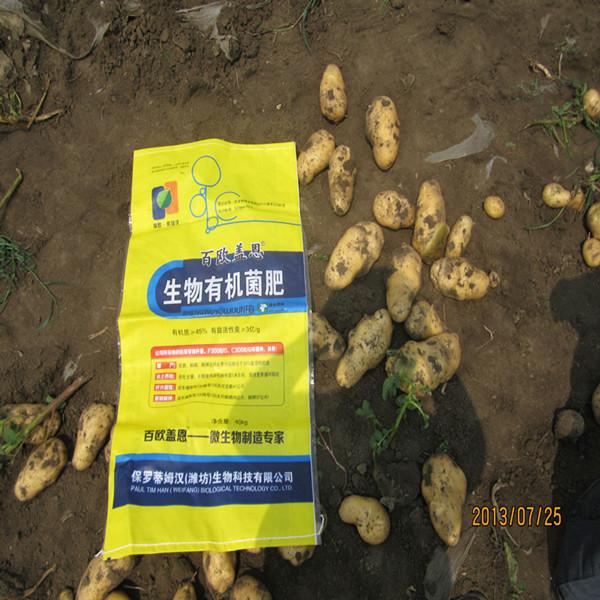 供应土豆生物有机肥土豆有机肥土豆施肥基肥增产15-30图片