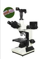 供应XSP-11C系列生物显微镜