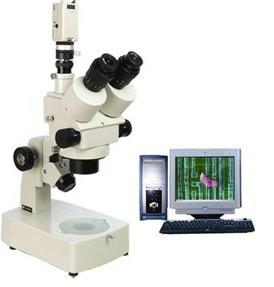 供应XTZ系列连续变倍体视显微镜图片