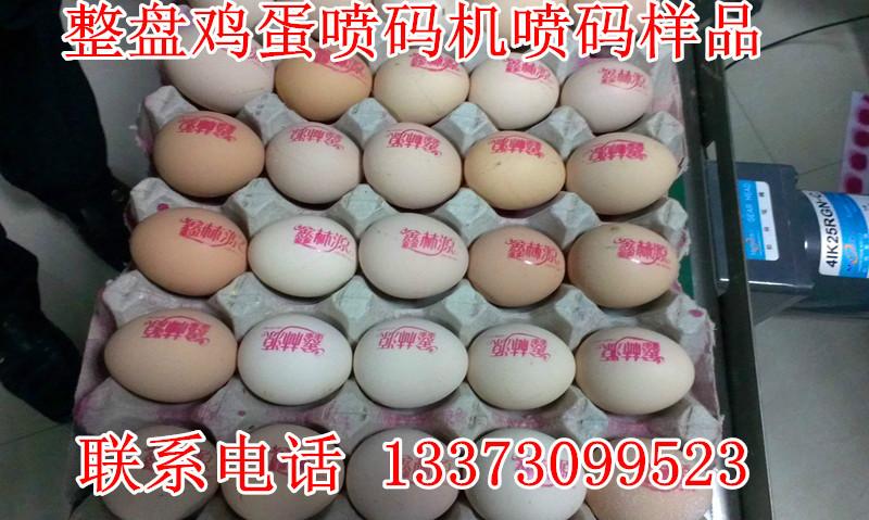 邢台市河南鸡蛋喷码机小型鸡蛋喷码机厂家