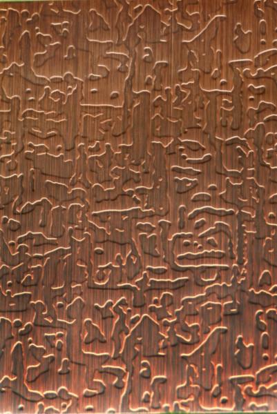 北京青古铜不锈钢蚀刻板 红古铜自由花纹不锈钢蚀刻装饰板