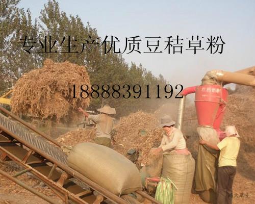 菏泽市优质豆秸草粉及牛羊草粉价格厂家