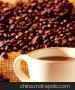 供应咖啡专用植脂末