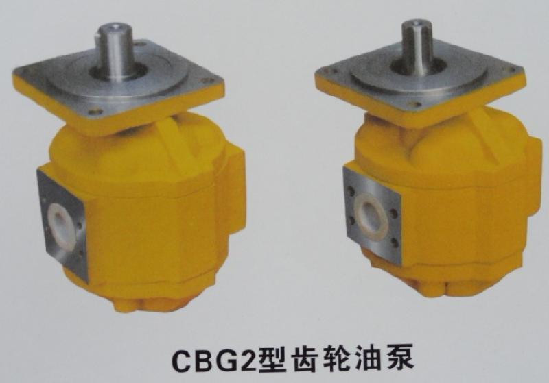供应专业加工CBG2系列中高压齿轮油泵