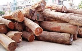 供应进口木材代理清关运输