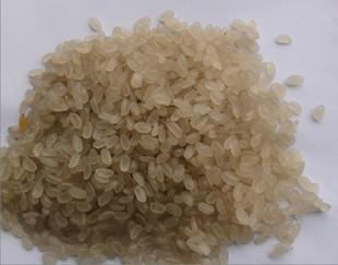 山东济南营养米生产线玉米片批发