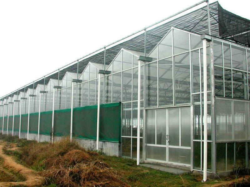 珠海玻璃温室供应珠海玻璃温室，阳光玻璃温室，连栋玻璃温室
