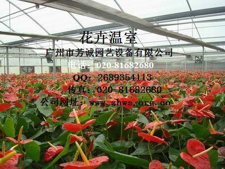 广州市花卉大棚厂家