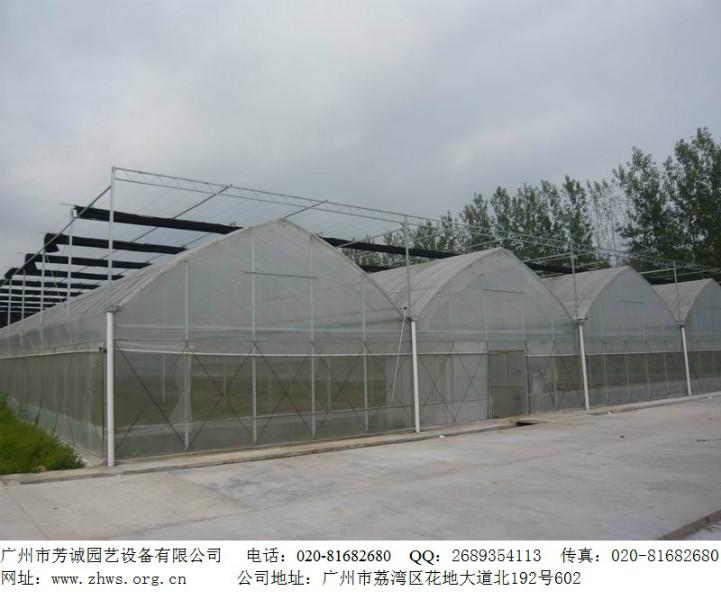 供应广州建个蔬菜大棚需要多少钱？