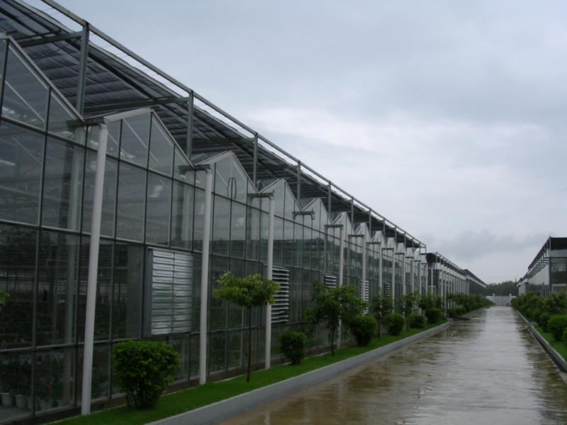 广州市珠海玻璃温室厂家供应珠海玻璃温室，阳光玻璃温室，连栋玻璃温室