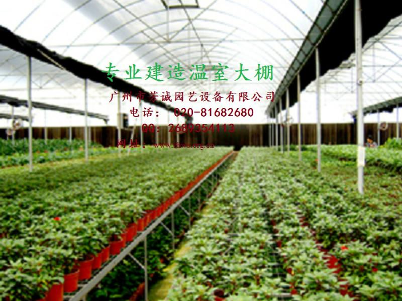 广州市花卉大棚厂家供应花卉大棚，冬季花卉大棚，大棚价格