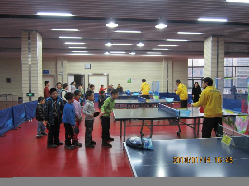 贵阳乒乓球训练基地,专业的乒乓球训练机构
