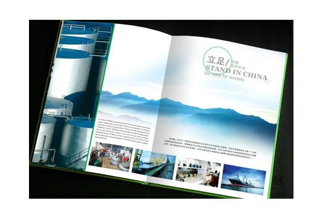 苍南企业宣传册折页印刷厂