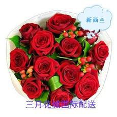 新西兰鲜花配送情人节玫瑰送货上门批发